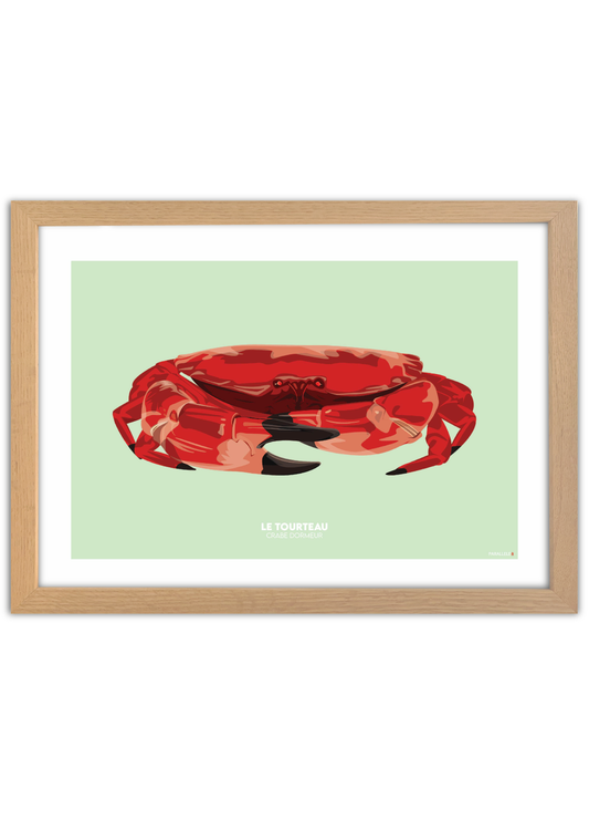 Affiche "Le Tourteau"