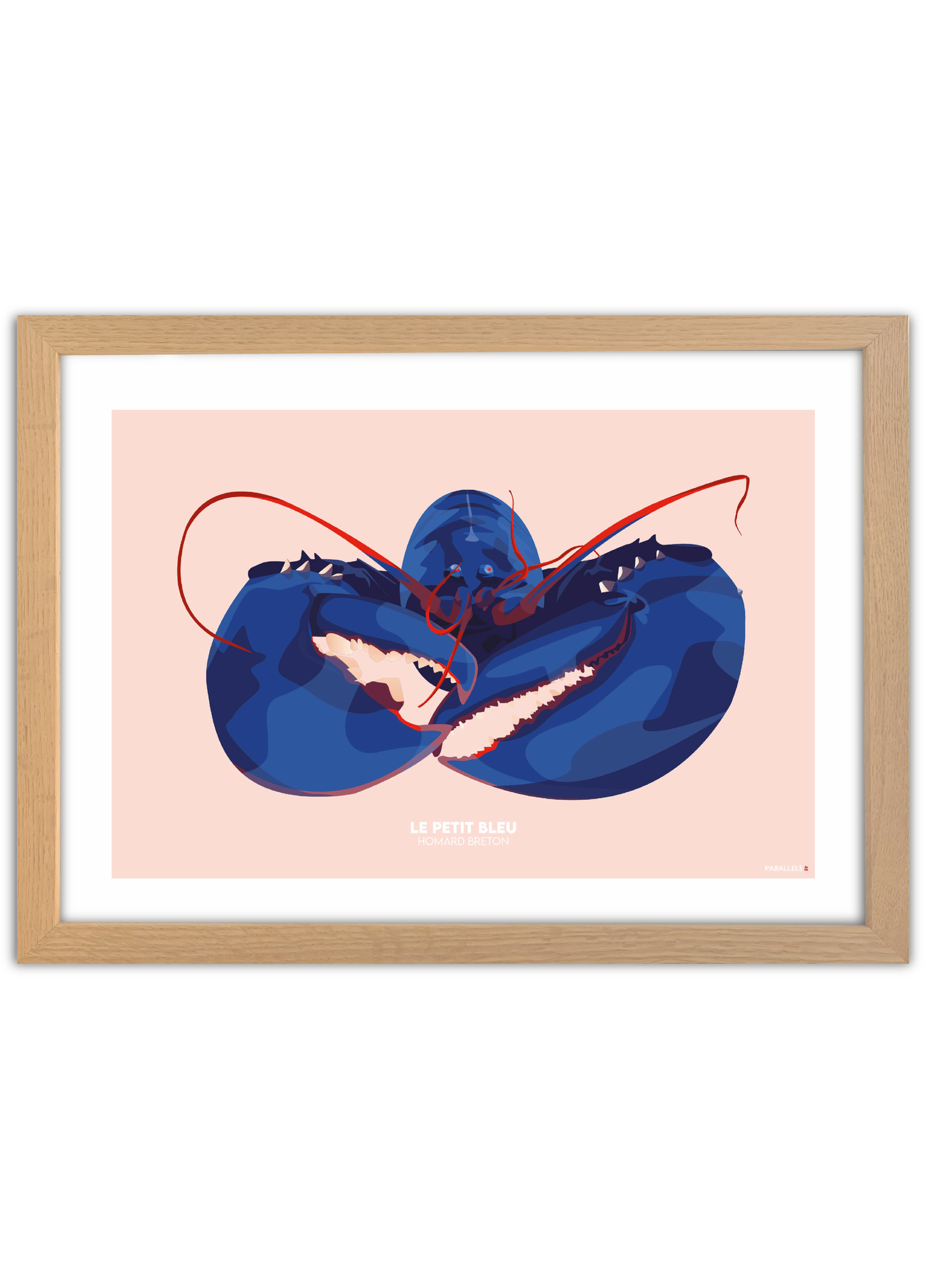 Affiche "Le Petit Bleu"