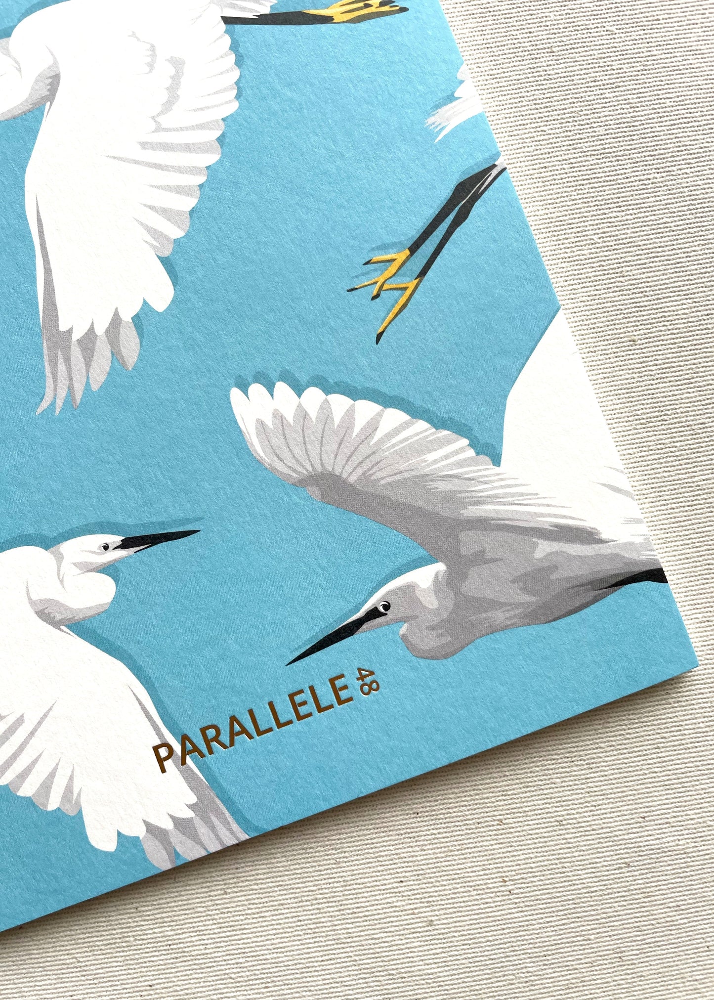 Carnet de notes "Aigrettes"
